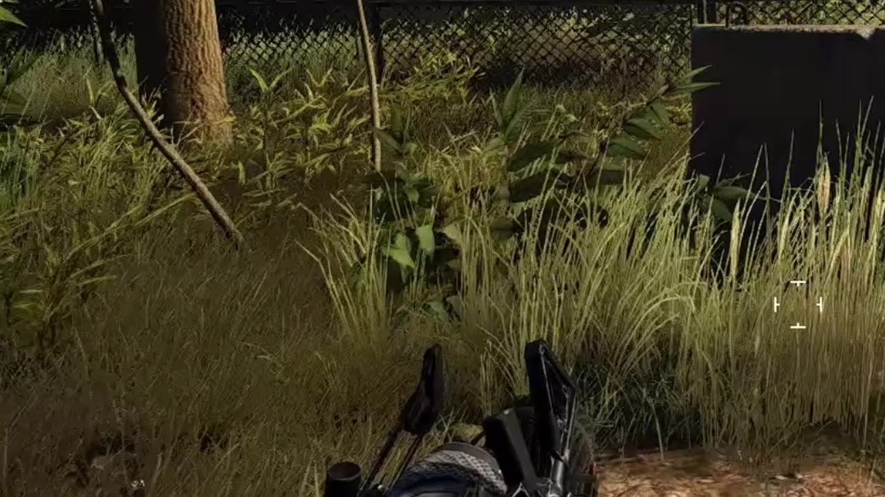 Tom Clancy Ghost Recon Wildlands shorts