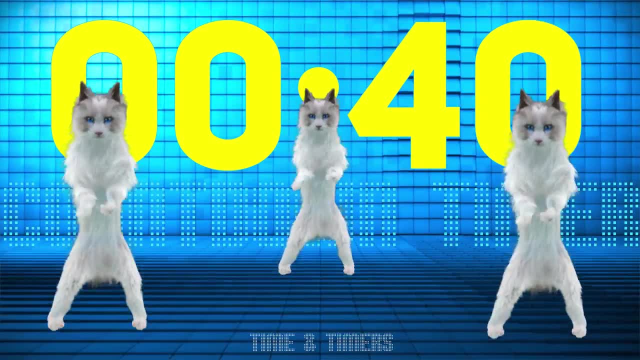 1 Minute TIMER Funny Dancing CATS 🔊 🐱 😃