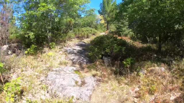 Black Bay Beaver Pond Trail - Voyageurs National Park