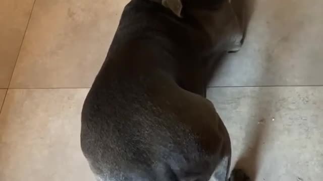 He Was So Hungry ...LOL😂😂