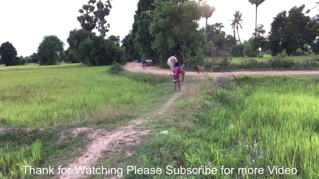 Amazing Cambodia sister's