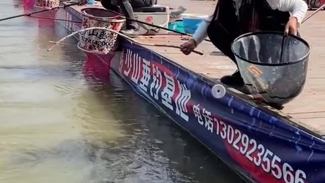 Best Asian Fishing Video 🐟 Weekend Fishing