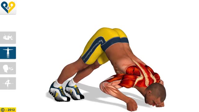 Best V Push Ups (with clenched fists) - Fitness exercises