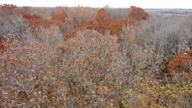 Michigan Fall Colors from a Drone