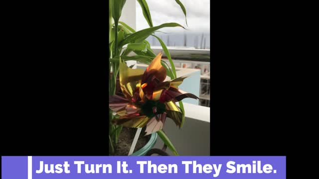 Just turn it then they smile.