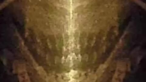 REPTILIAN FACE ON MONEY 🦎