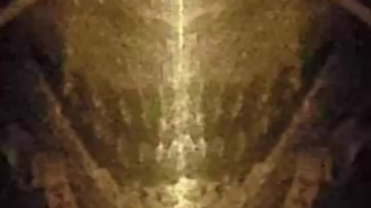 REPTILIAN FACE ON MONEY 🦎