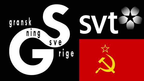 SVT mörklägger misshandel av SD-journalist