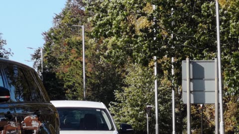 "Sunny Drive: Yellow Trees, Sky, Road, and Car"