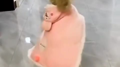 cute dog dancing