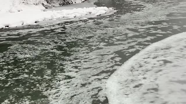 Ice floating down the Skykomish river