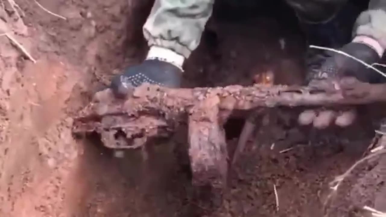 Found a buried gun