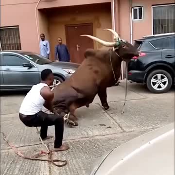 Laugh with the most amazing and strangest jokes and events in the world 👀😥