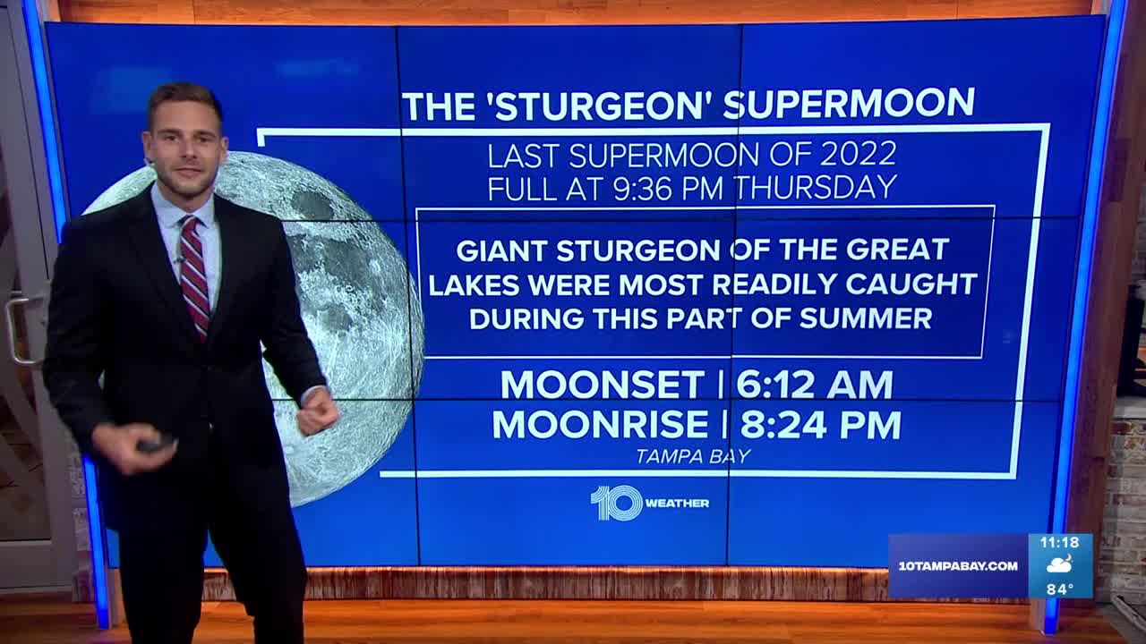 How to watch tonight's supermoon – the last one of the year