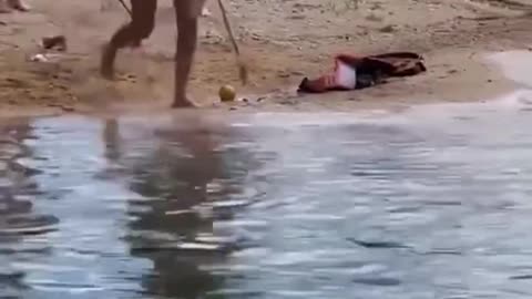 The end 😂😂😂 #viral #shorts #fails #funny #comedy #fun 5