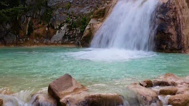Jungle water