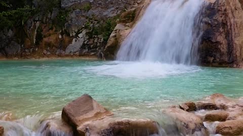 Jungle water