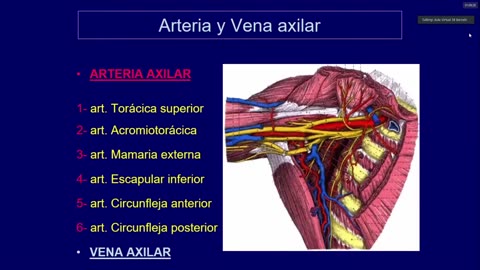 Clase 12 - Pie y Repaso Miembro Superior 1_2 - Dr. Sergio Paez 19-05-2021