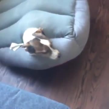 True bravery is not the absence of fear, but moving forward wi