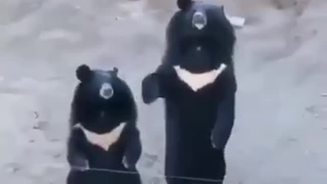 When you like to eat delicious