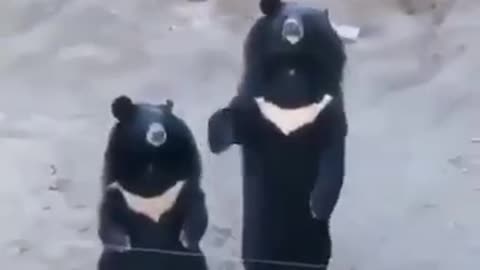 When you like to eat delicious