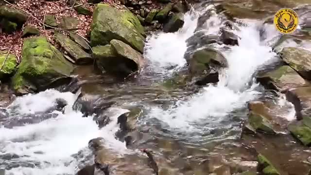 Powerful music of connection with nature-Develop your energies,""