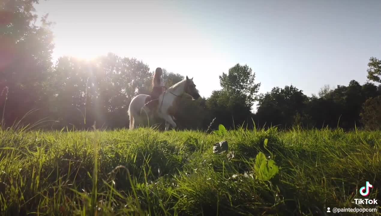 Morning Walk With your horse