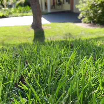 Fill the cheeks Squishy, fill the cheeks #fyp #animals #nature #cuteanimals #squishy #chipmunk