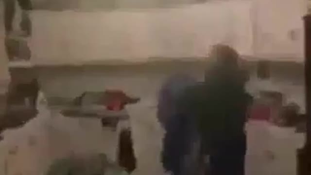 The Saga of a Bat Trapped in Irish House