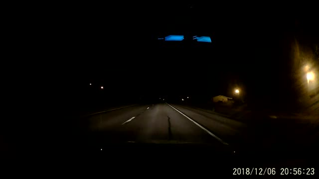 Bear Dashes Across Dark Road