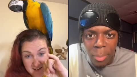 Tyrone and crazy bird lady