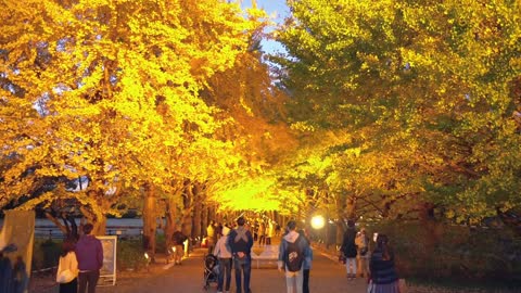 There is a taste of autumn in the wind