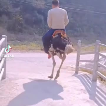 gdy zabraknie paliwa ;-)