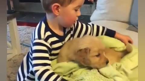 Cute babies playing with cute dogs