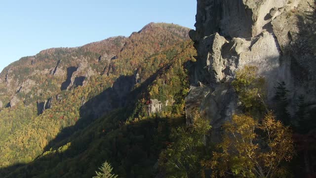 Cliff Trees Landscape Nature Mountain Forest Sky 4K