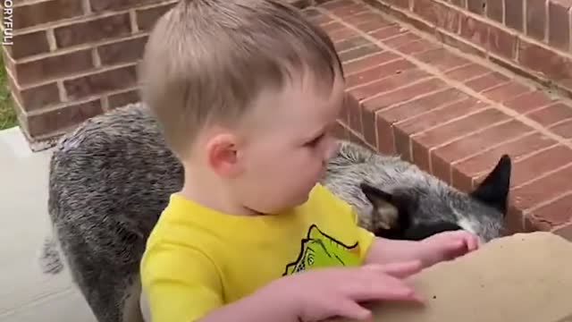 Protective puppy protects toddler at every step.