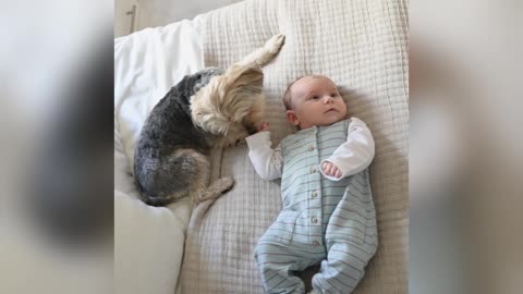 Cute baby with cute dog