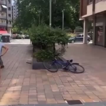 Exactly why all governments opened their borders, why we gona keep seeing these type of vids.