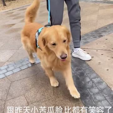 He is already sick and has to go to the doctor