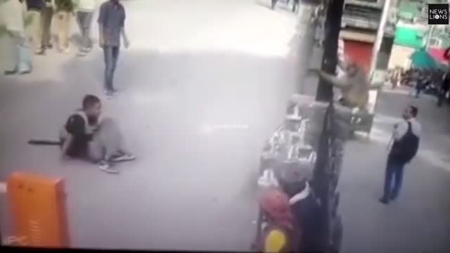 a passer-by who provokes a monkey, look what happens