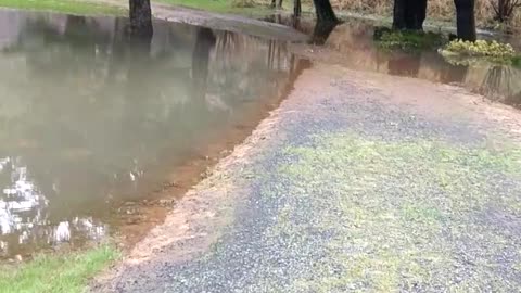 Seaside Oregon Winter Flooding