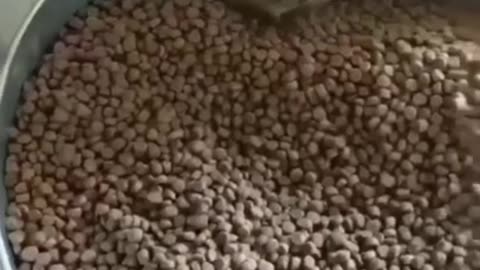 #120 - Hilarious and Adorable Animals