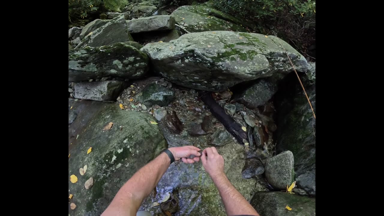 Brook trout fishing 9-29-23