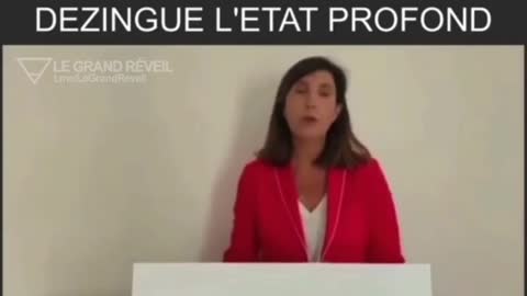 Agnès Cerighelli, ancienne élue LREM, dézingue l'Etat Profond !