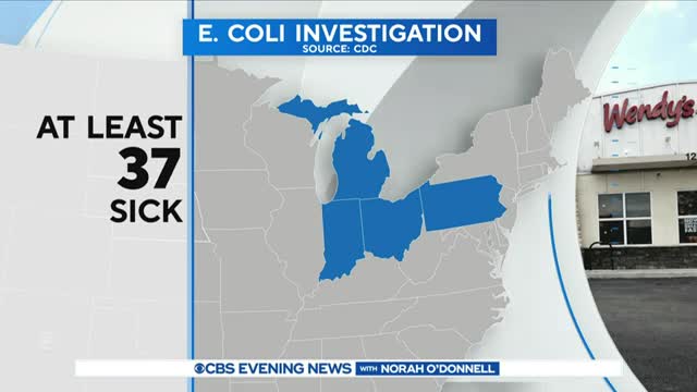 CDC probes E. coli outbreak possibly linked to Wendy's