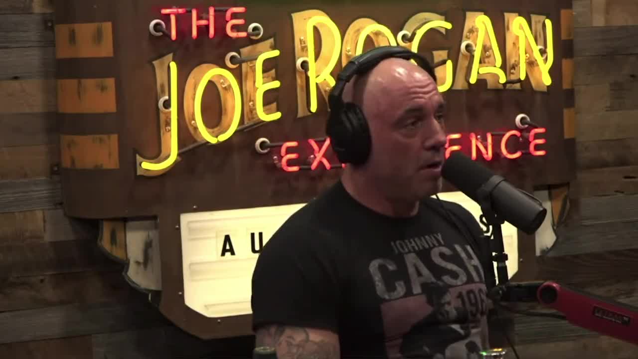 Joe Rogan Speaks On Transhumanism