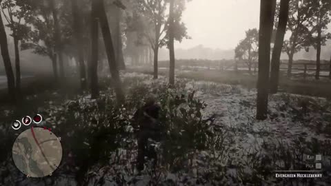 RDR2 Shootout with Kirin1028