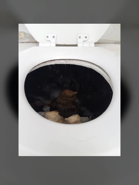 Biden and Trudaeux administration