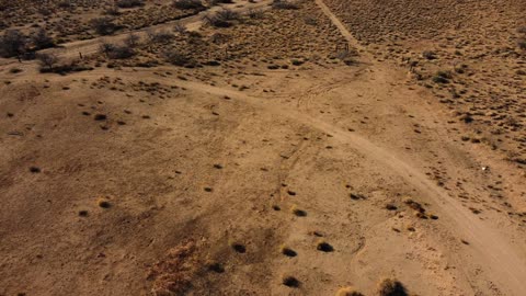 Help Animals Lives Today Aerial View