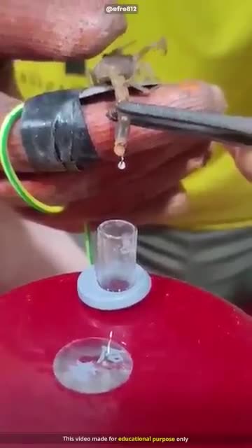 The_Most_Dangerous_Job